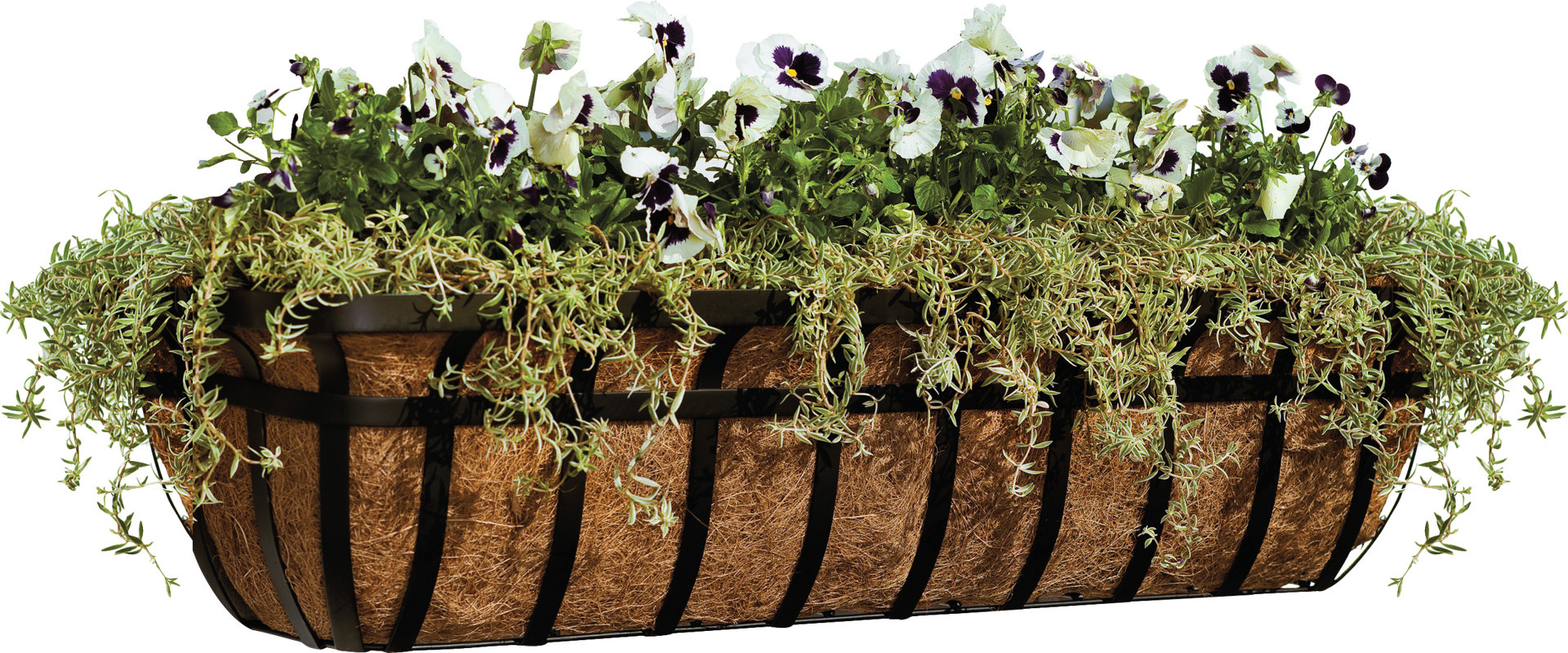 Plow & Hearth Metal Window Box Planter & Reviews Wayfair